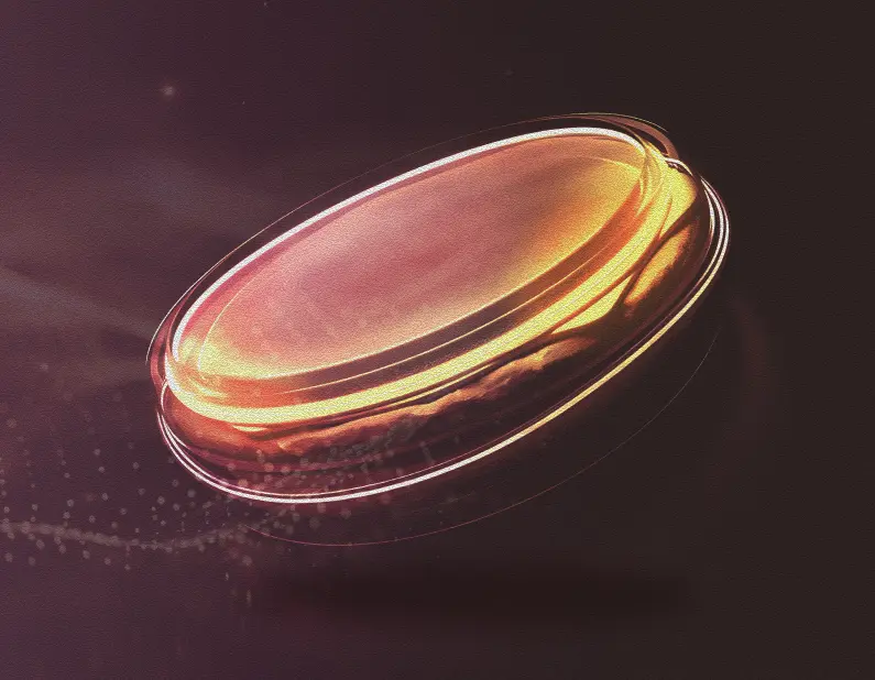 IT consulting approach